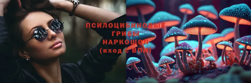 Галлюциногенные грибы Cubensis  мориарти официальный сайт  Балей  наркота 